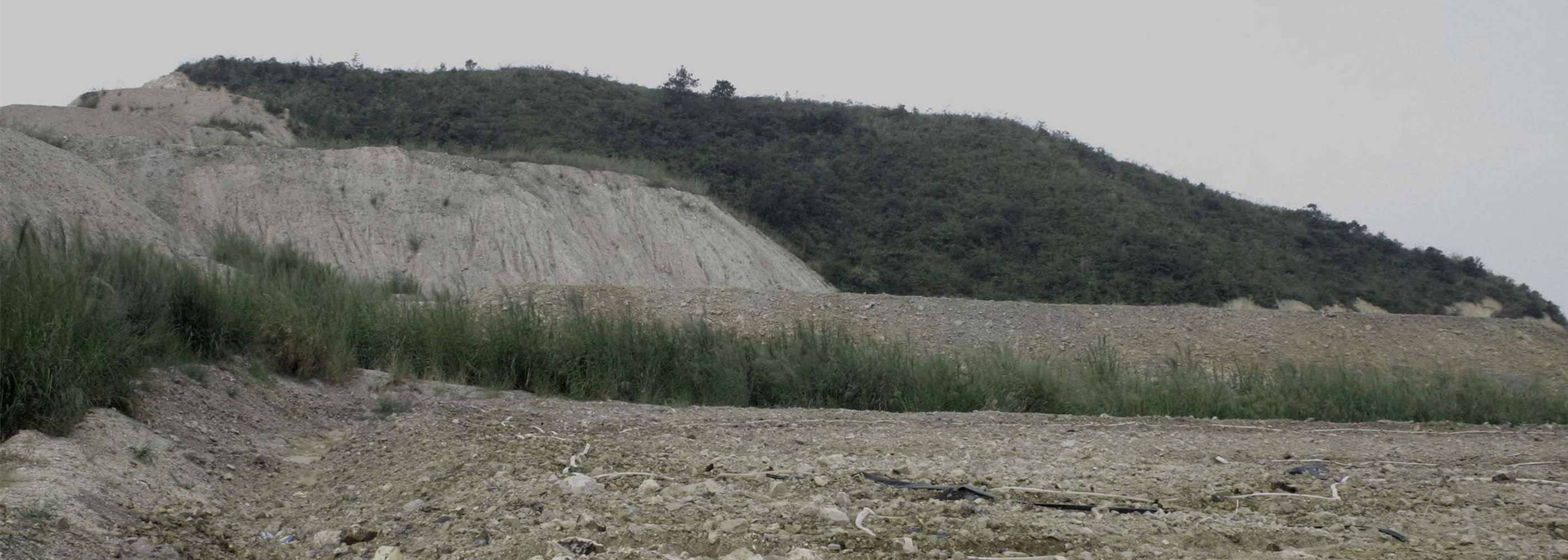 A Landscape without Skin header image