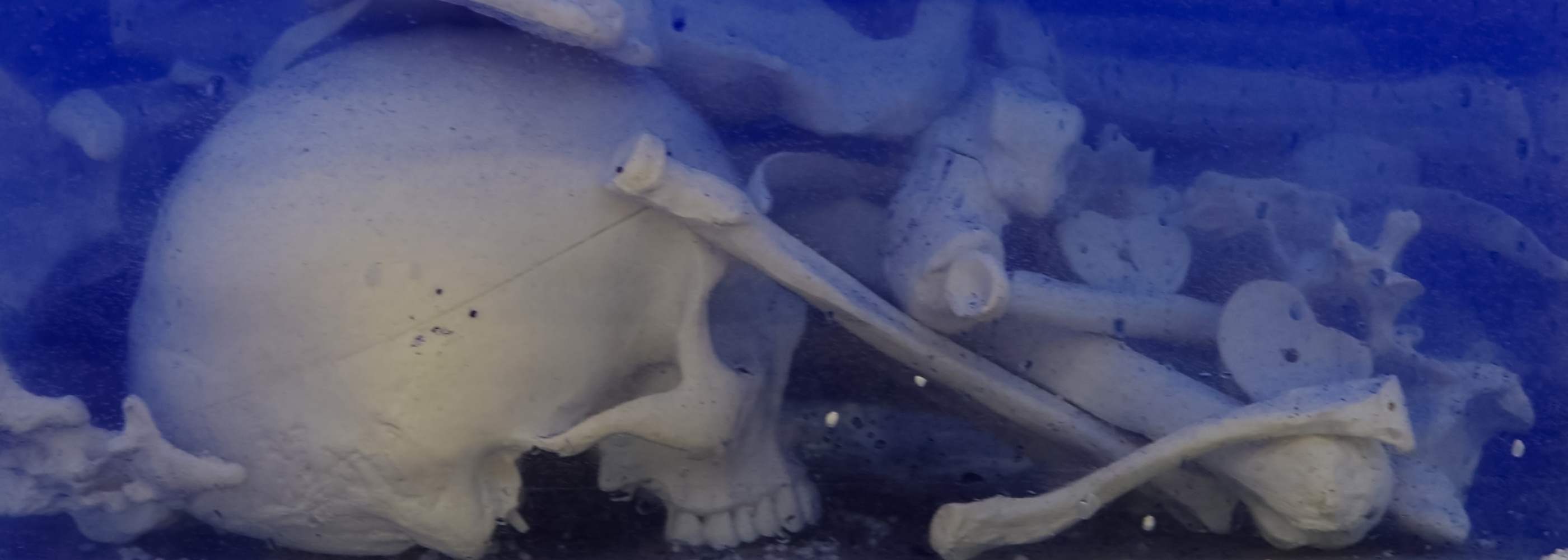 Drink Blue header image