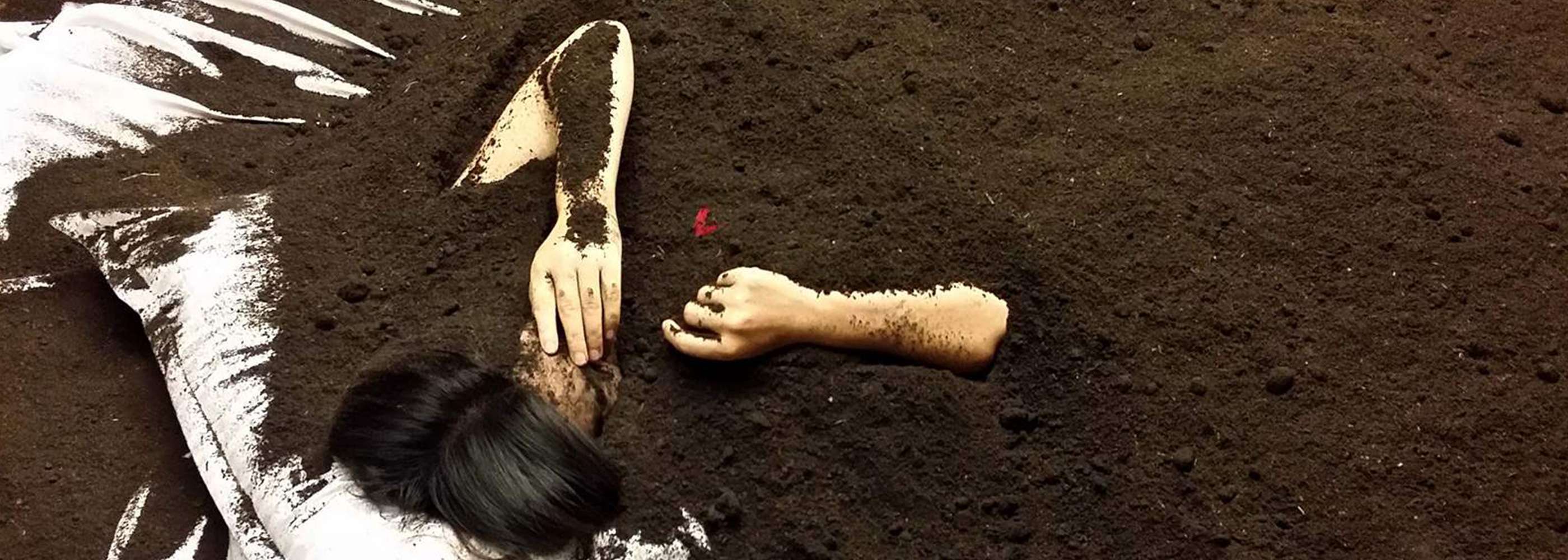 Expensive Evidence – Dust header image