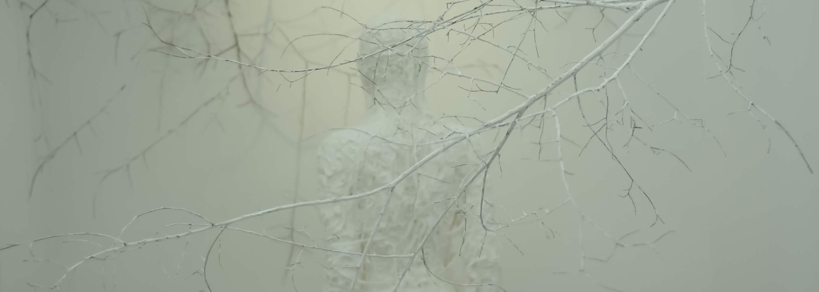 Fog header image