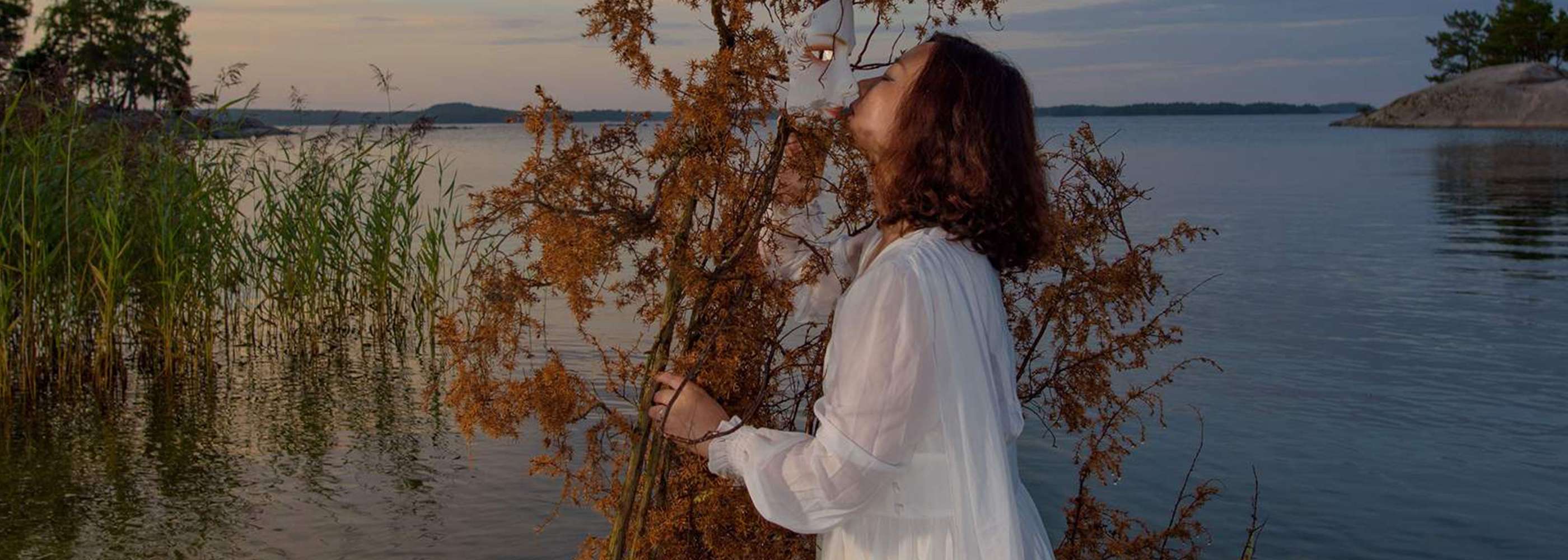 Kissing the Soul of a Dead Tree header image