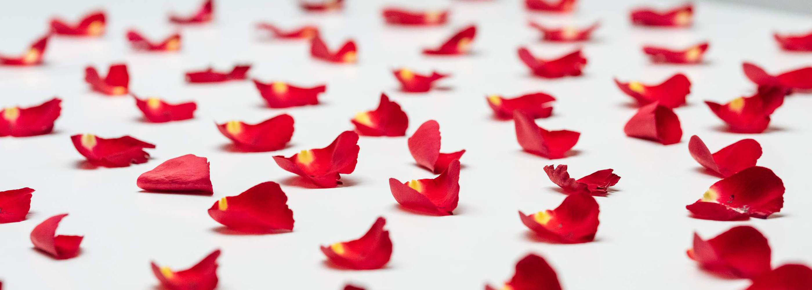 Contact header image